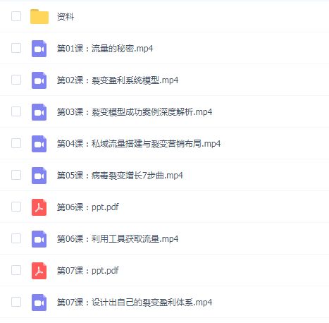 王六六·14天裂变盈利系统训练营