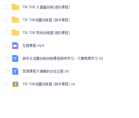 TIKTOK 最新国外抖音项目