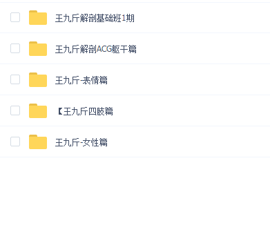 王九斤解剖学教程系统合集(四肢表情躯干女性解刨)