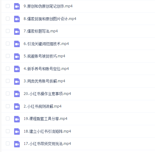 陆明明小红书爆粉引流特训班5.0
