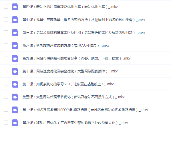冯耀宗 2023 SEO课程
