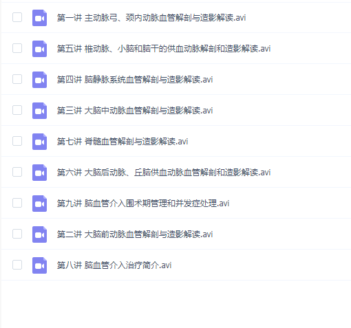 脑脊髓血管解剖与造影解读