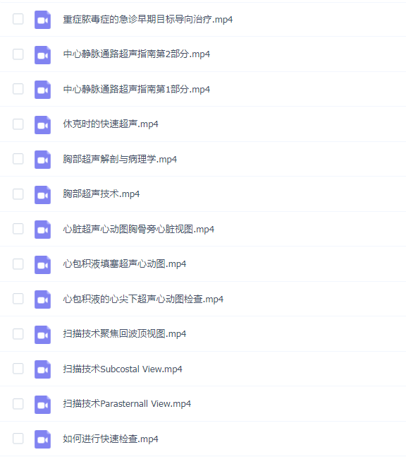 重症超声(中文字幕)