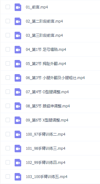 高金玲-100节全身体态调整减脂塑形课