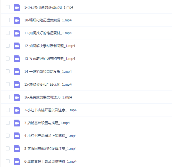 东哥电商2024最新小红书电商落地实操课,从入门到精通
