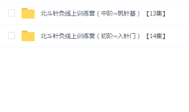 朱小宝~北斗针灸线上训练营(中阶~筑针基)