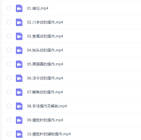 针灸美容美雕针面针