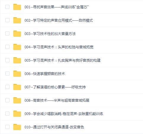 李老师 instinct vocal training声音应用技术训练职业歌手训练计划:声音塑造与技巧开发398