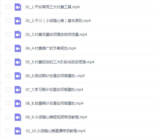 诸葛老王-抖音千川优化实操班