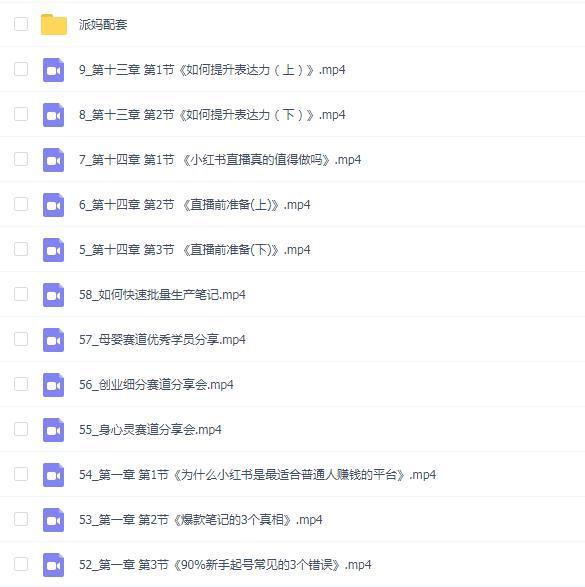 派妈流量变现私教课
