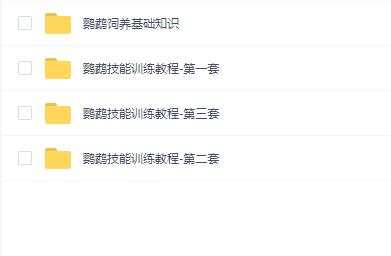 训鸟虎皮牡丹玄凤鹦鹉训练教程上手技能视频课程教学详细解说118