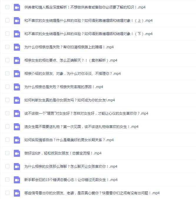 婚恋攻略(男人最大的成功,就是拥有令人羡慕的婚姻)