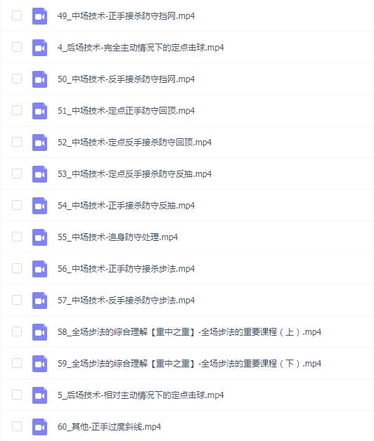 【震哥】羽毛球 羽毛球技术(手法+步法)网课