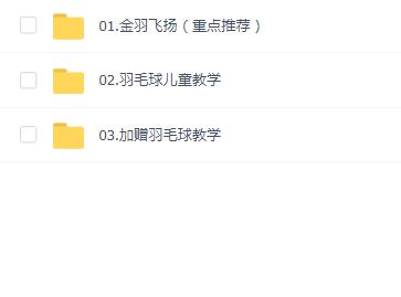 【陈金】羽毛球-3套(金羽飞扬+儿童教学+加赠教学)